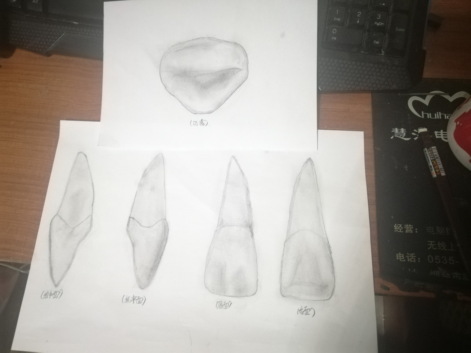 158895263160709105.jpg 158895263160709105.jpg