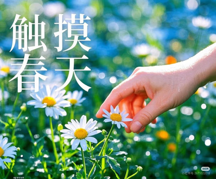 fa7ca952a2241ca0d670e7126e9e908a.png 753.png