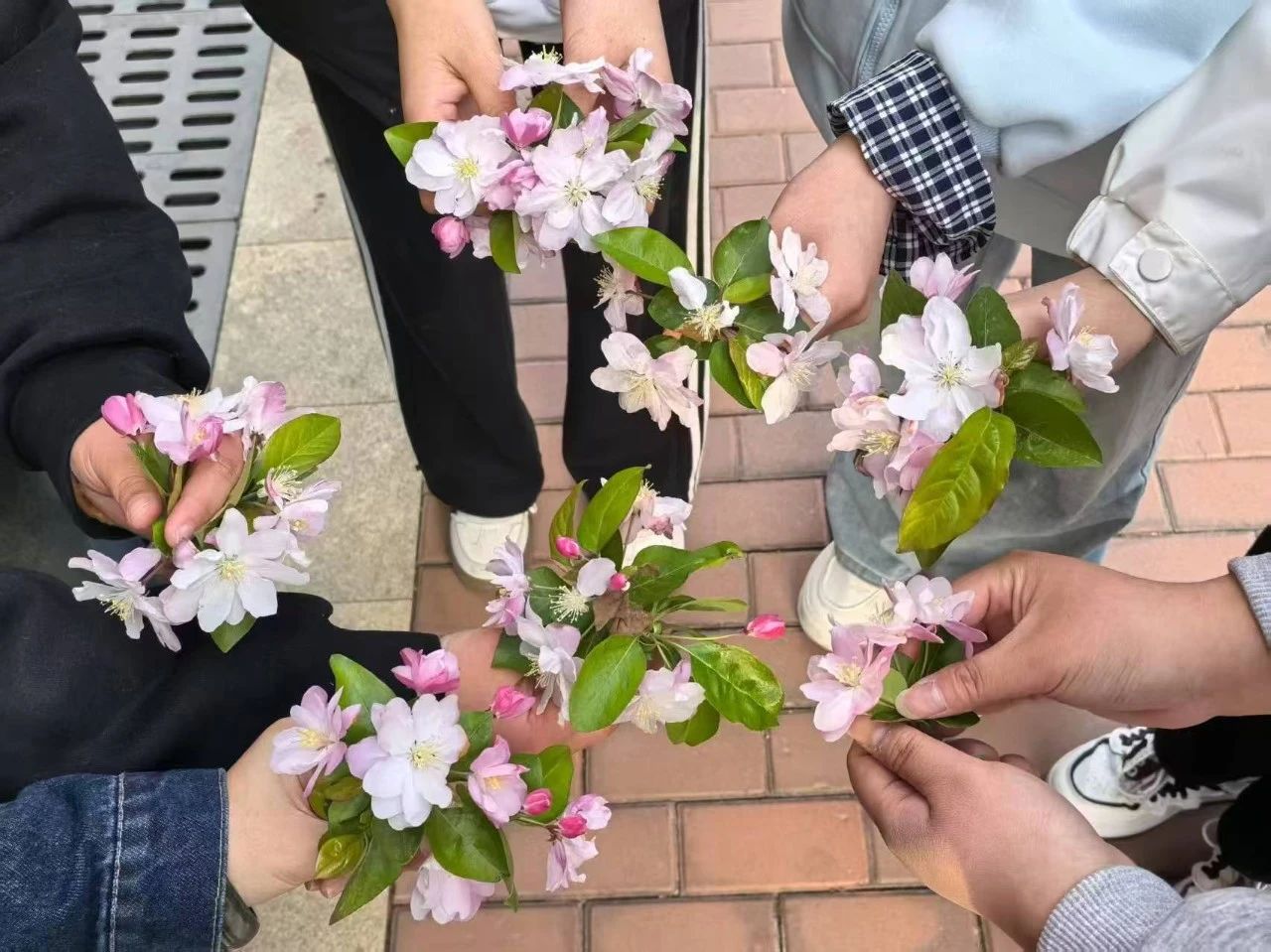 aa9b2eee5c24c487f7c109cc4574b599.jpg 微信图片_20250520202635.jpg