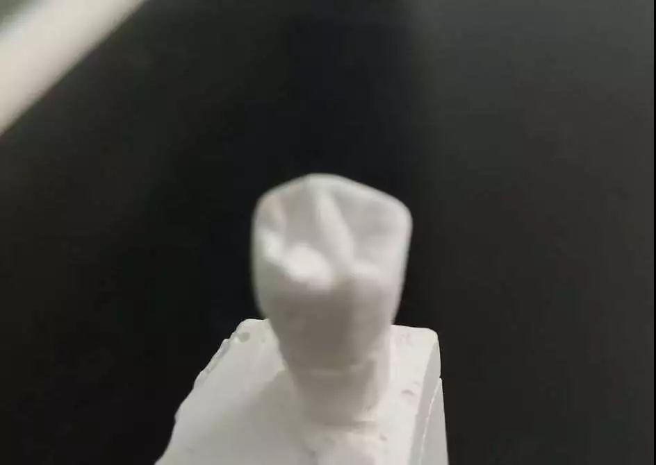156025759149630494.jpg 156025759149630494.jpg