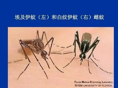 32df5fec7c7de6c7000fd0390b0777bf.png 微信图片_20250904225242.png