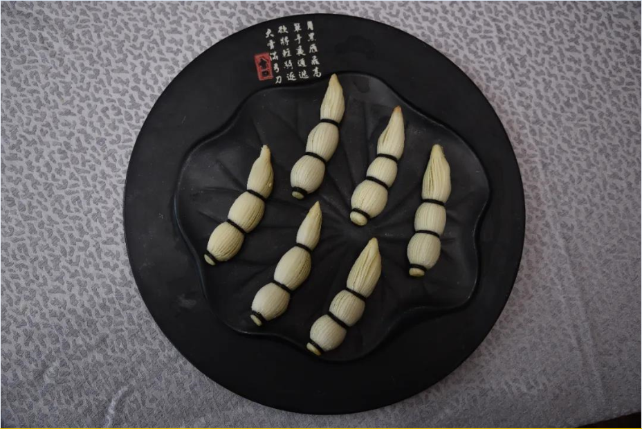 158845702232023173.png 158845702232023173.png