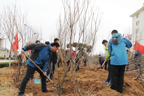 152118279013508335.jpg 56eb6ce469a6c.jpg