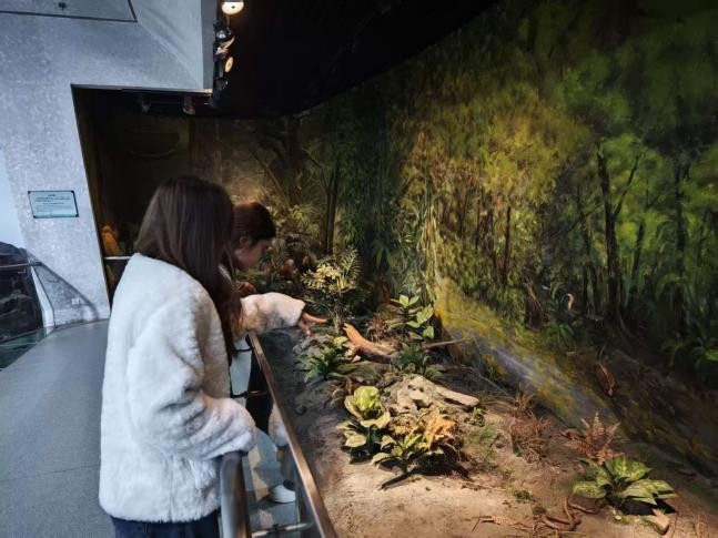 80940fee39d5127ebde87e06cf9ae106.jpg 80940fee39d5127ebde87e06cf9ae106.jpg