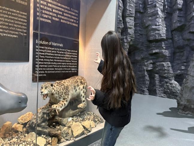 9c4fce5171525734782b06508db1e020.jpg 9c4fce5171525734782b06508db1e020.jpg