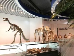 e8e5e469548453295b145387d50d507b.jpg e8e5e469548453295b145387d50d507b.jpg