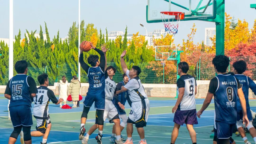 95dee6c17bb3ed0b1e326e661a96ccdb.png 95dee6c17bb3ed0b1e326e661a96ccdb.png